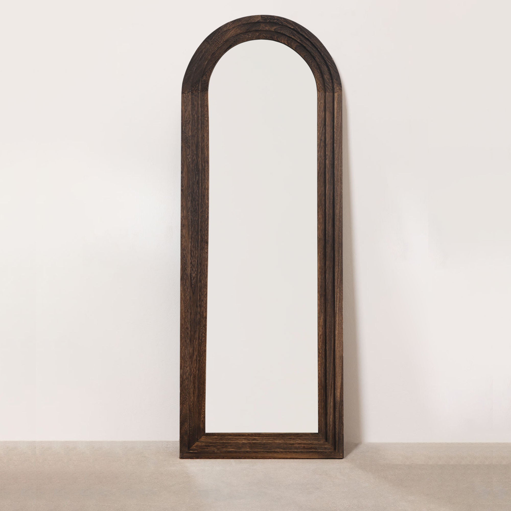 Vincent-65"x22" Modern & Rustic Beveled Full Length Mirror