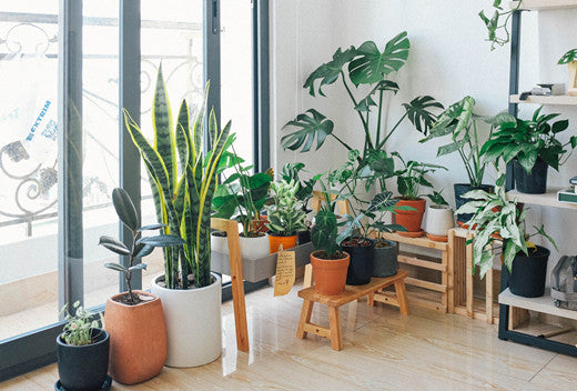How to Make Your Room Seem Larger