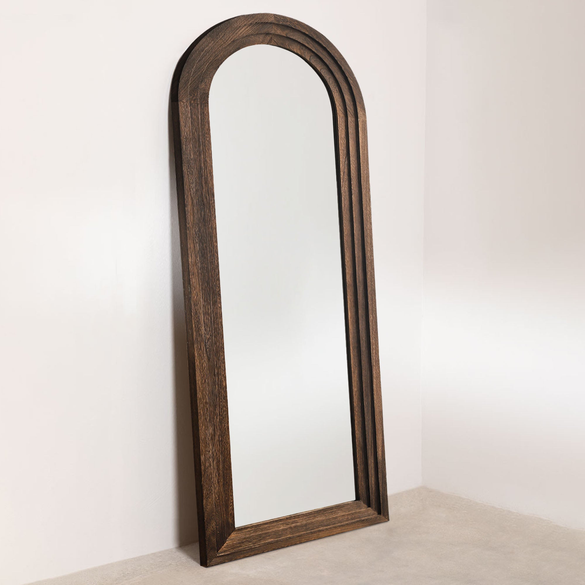 Vincent-65"x22" Modern & Rustic Beveled Full Length Mirror